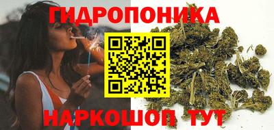 ALPHA PVP Аргун