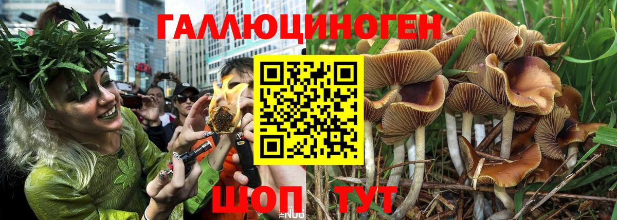 Белово  Галлюциногенные грибы GOLDEN TEACHER  Вход с VPN 